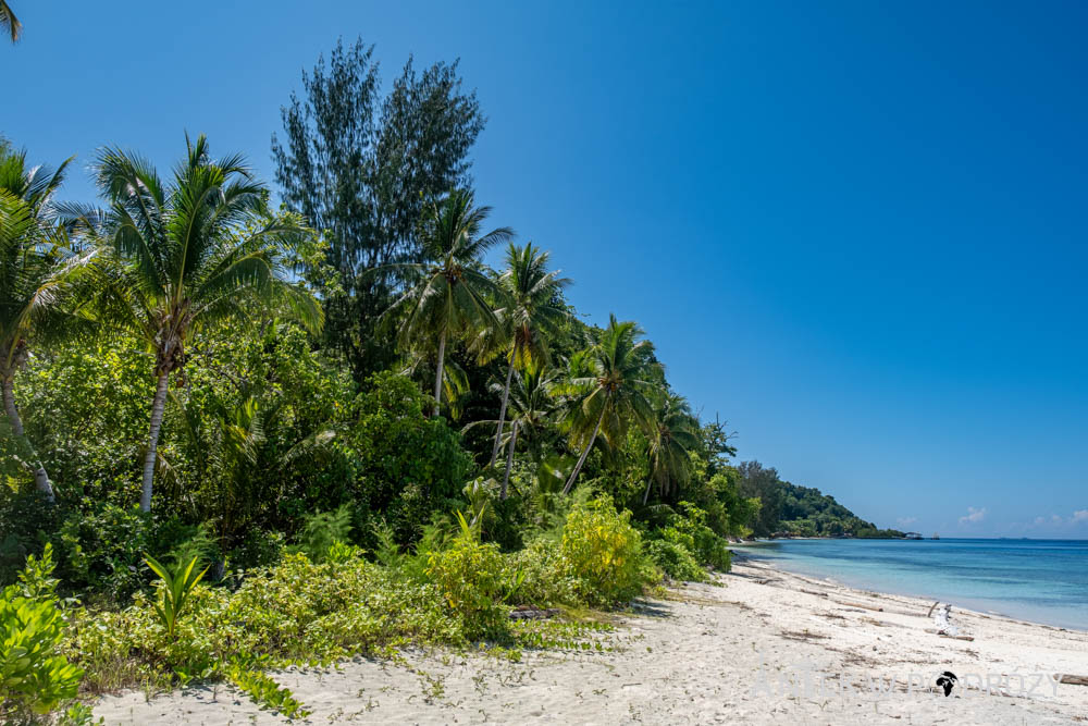 Piaynemo, Rufas (Raja Ampat)