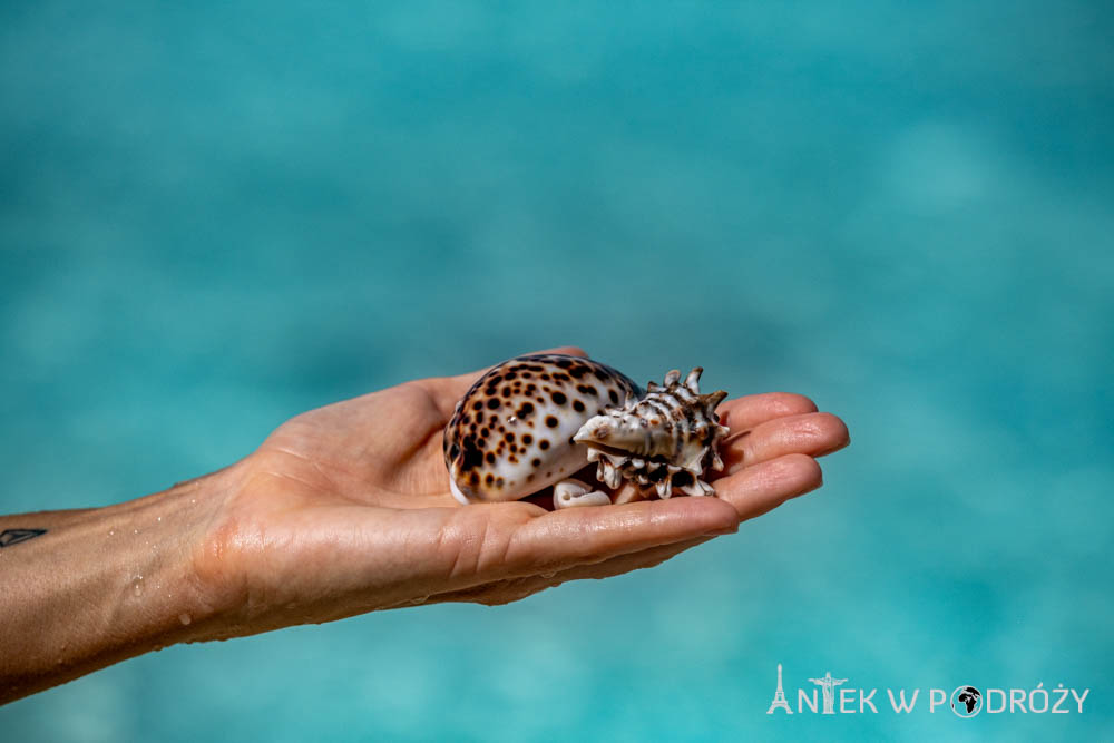 Piaynemo, Rufas (Raja Ampat)