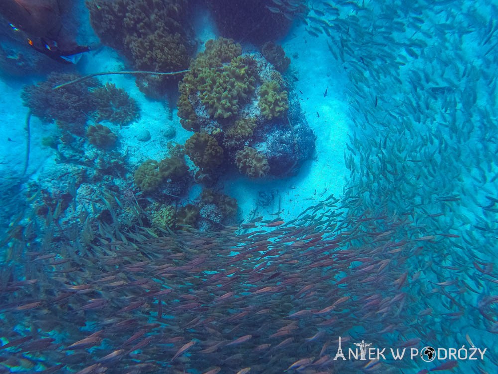 Wayag (Raja Ampat)