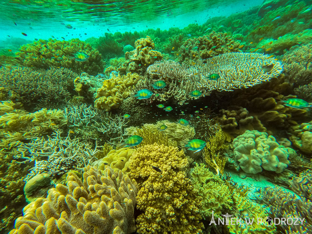 Wayag (Raja Ampat)