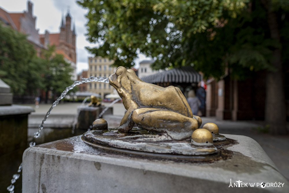 Toruń (kujawsko-pomorskie)