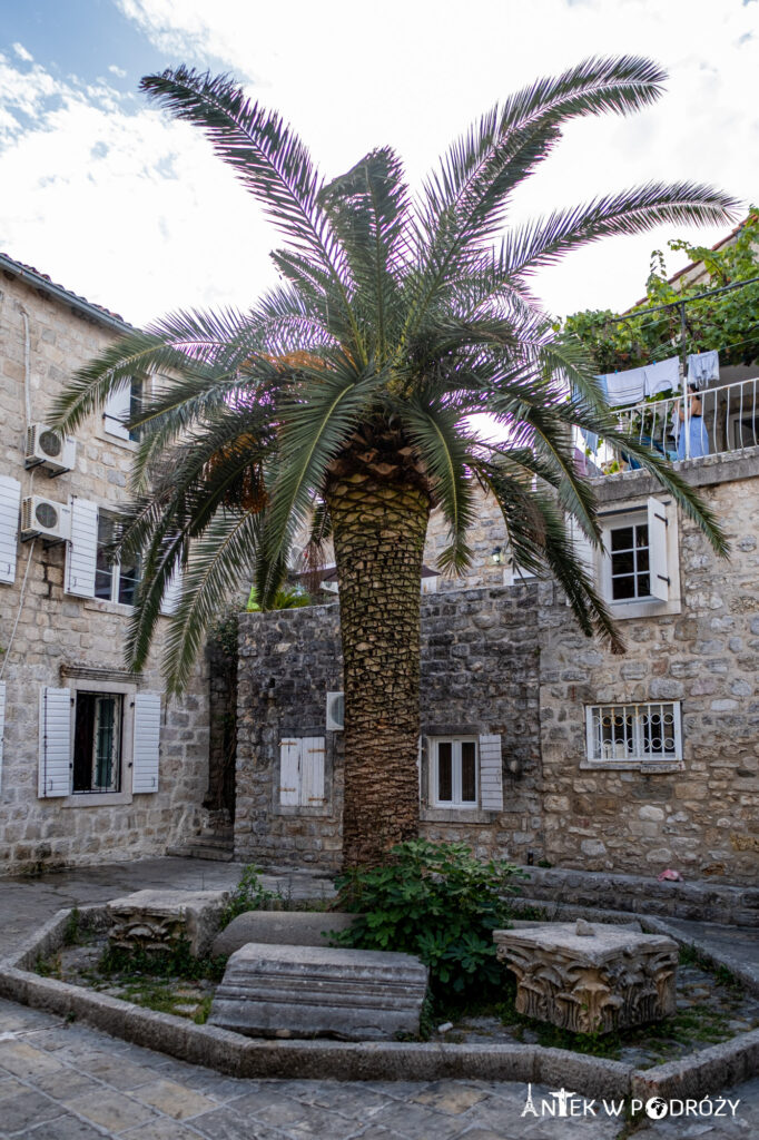 Budva (Czarnogóra)