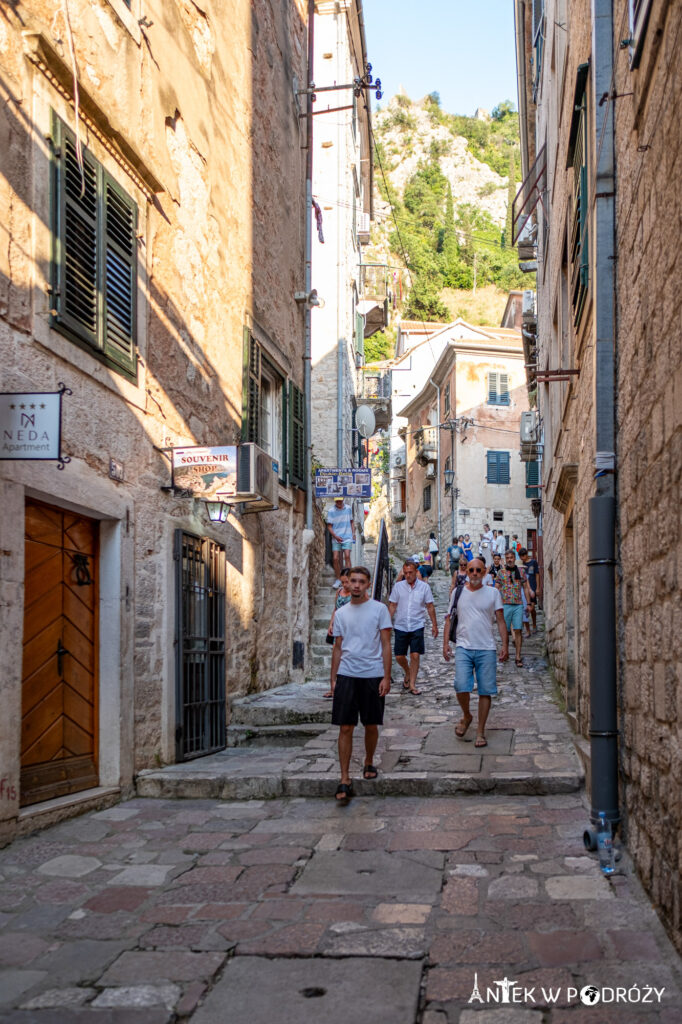 Kotor (Czarnogóra)