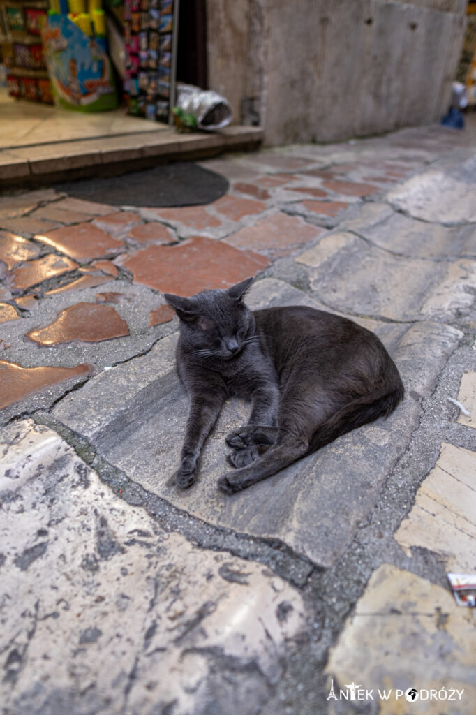 Kotor (Czarnogóra)