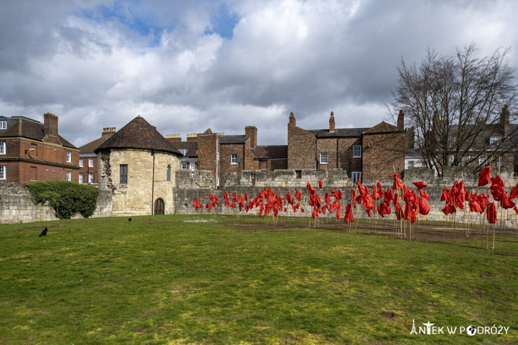 York (Anglia)