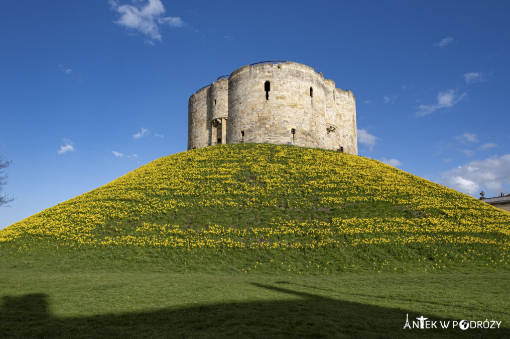 York (Anglia)