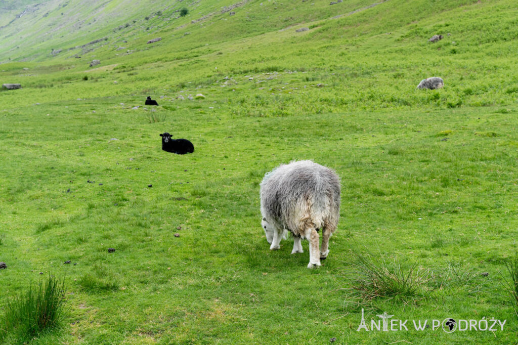 Lake District