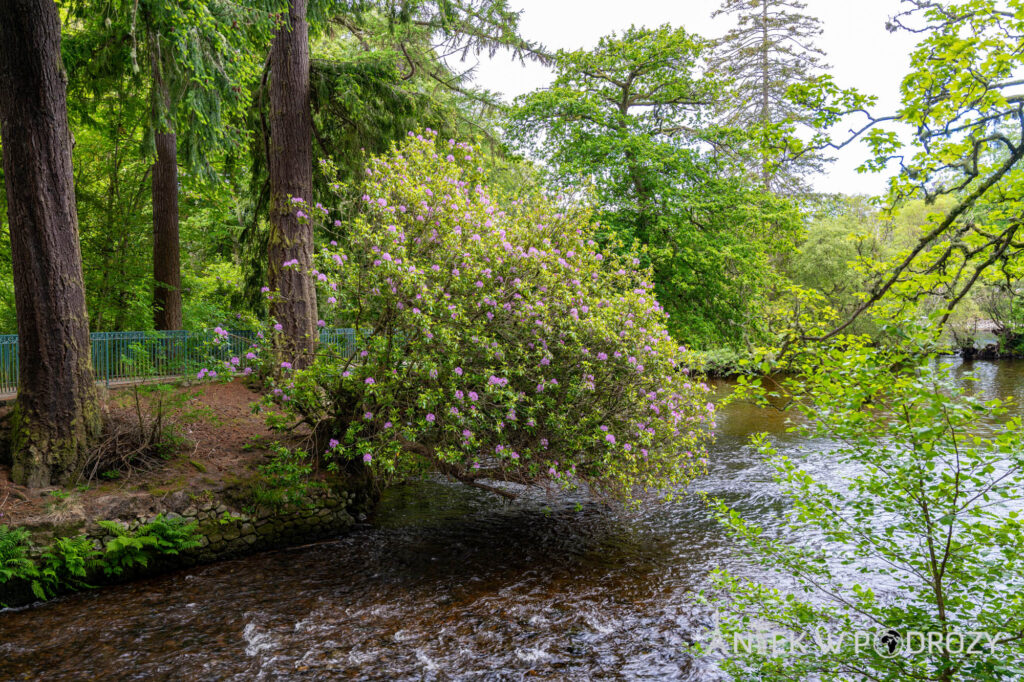 The Great Glen Way