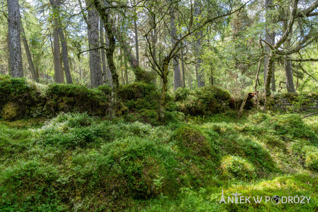 The Great Glen Way