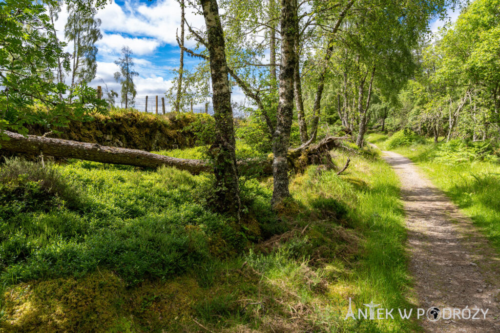 The Great Glen Way