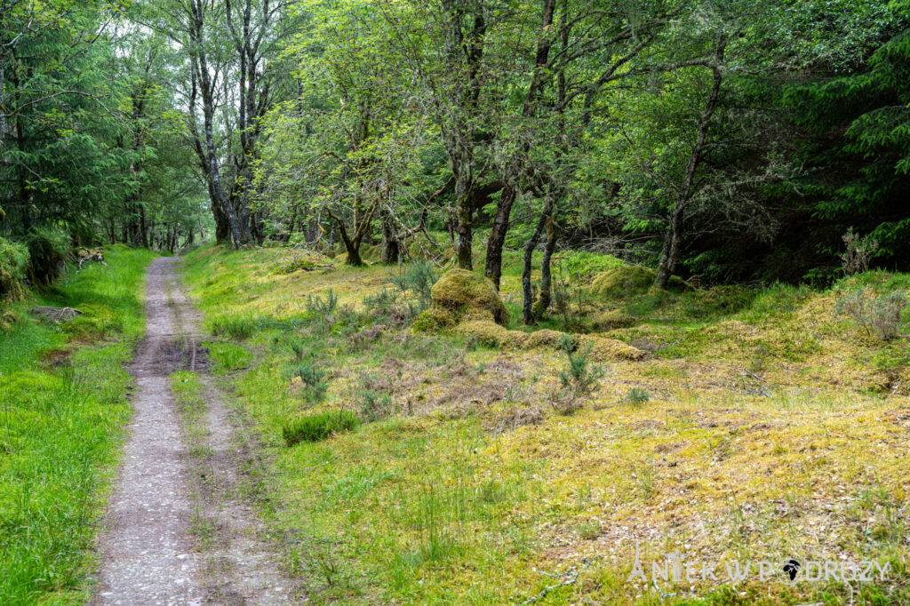 The Great Glen Way