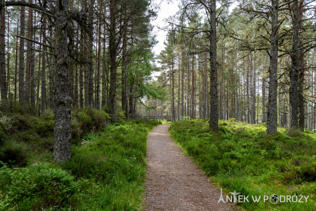 The Great Glen Way