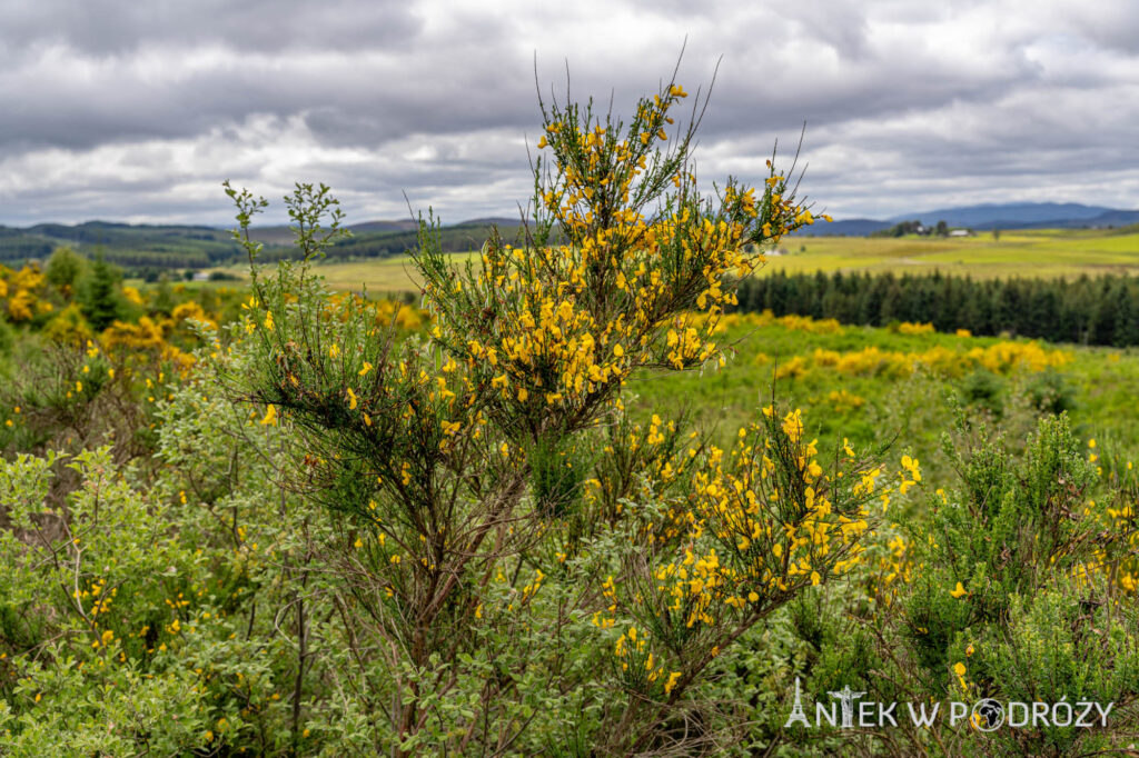 The Great Glen Way