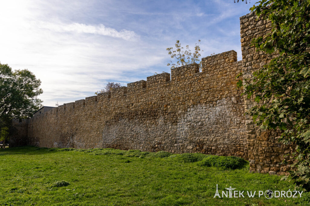 Będzin