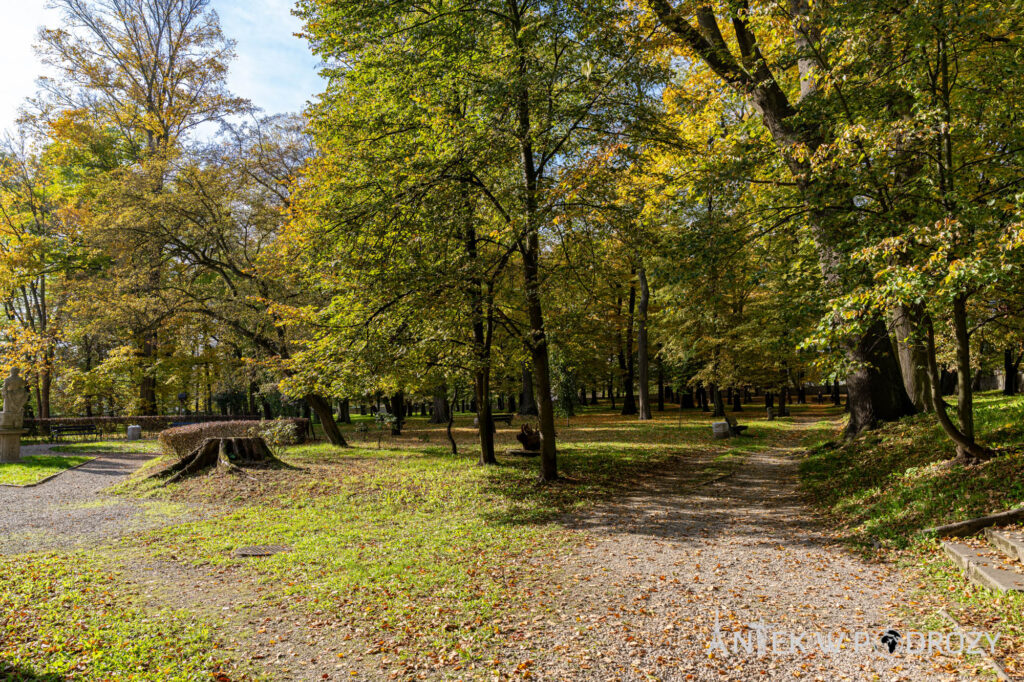 Będzin