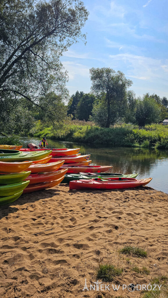 Spływ kajakiem po Liswarcie