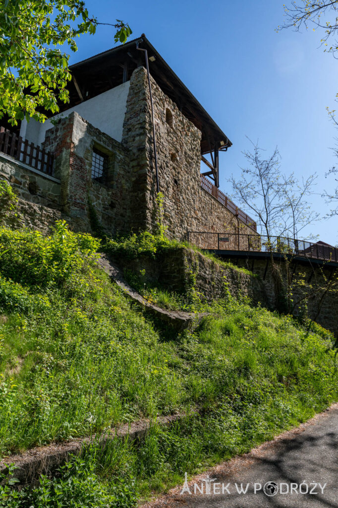 Ostrawa (Czechy)