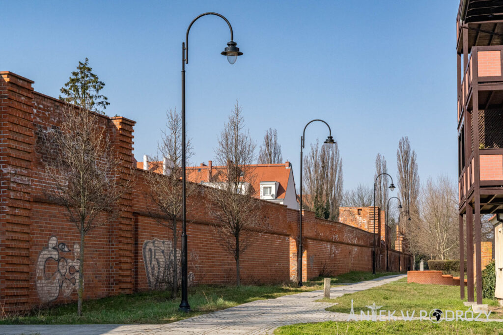 Głogów (dolnośląskie)