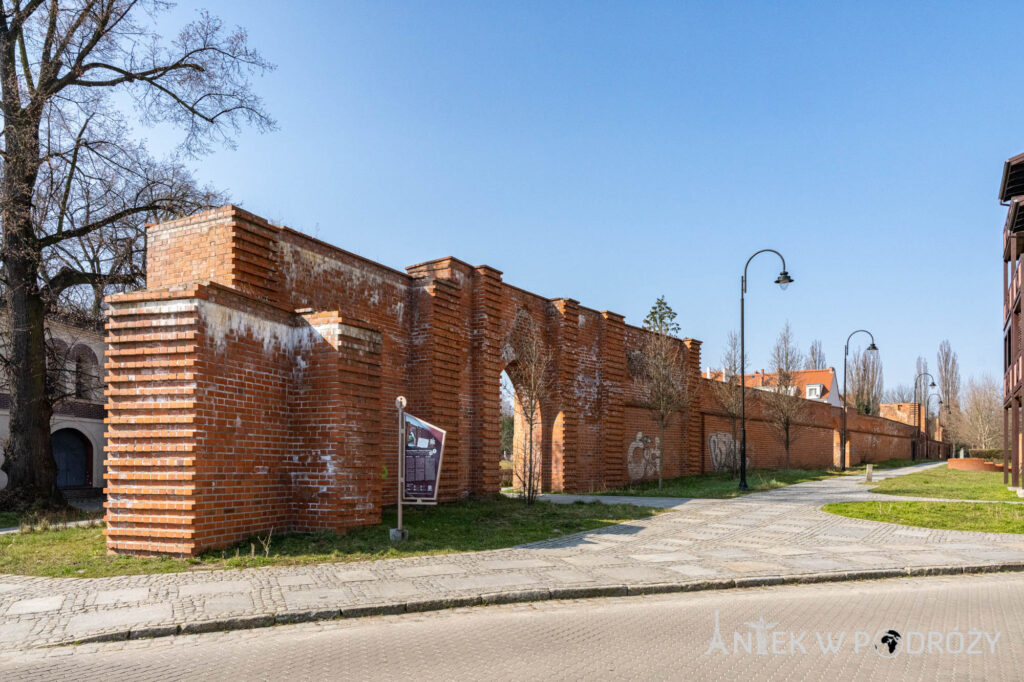 Głogów (dolnośląskie)