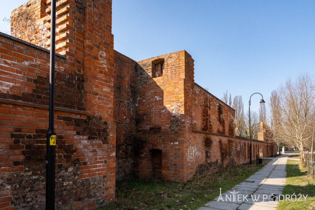 Głogów (dolnośląskie)