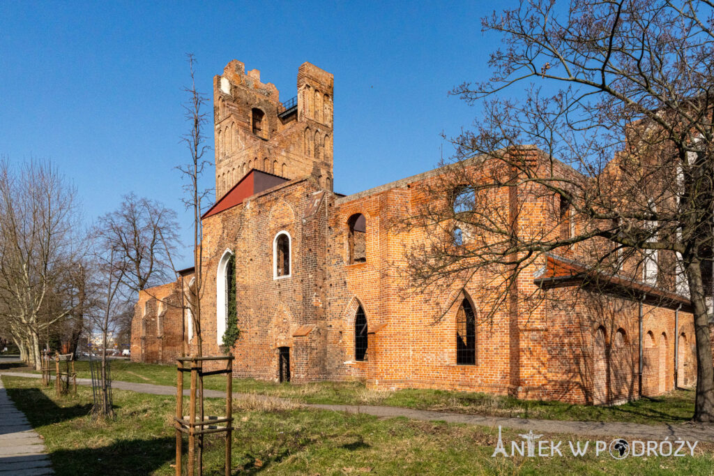 Głogów (dolnośląskie)