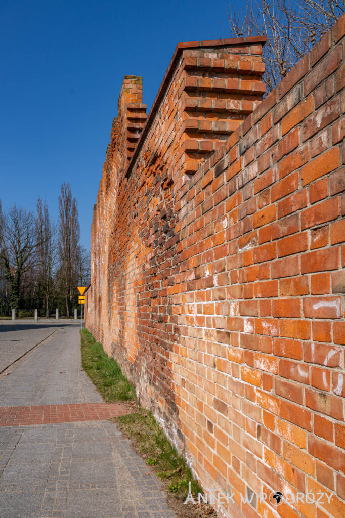 Głogów (dolnośląskie)