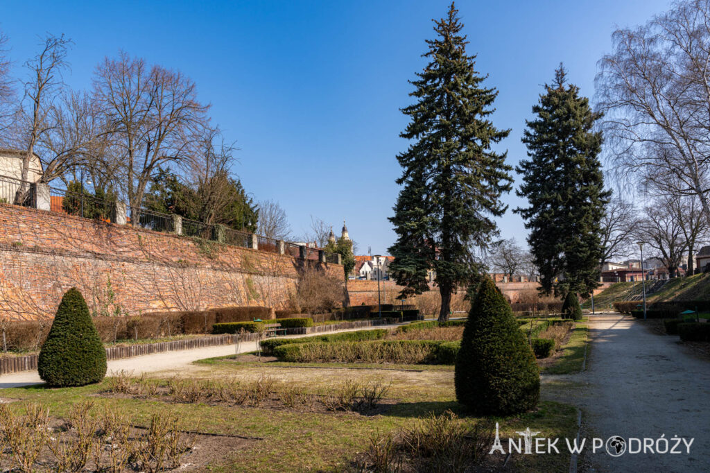 Głogów (dolnośląskie)