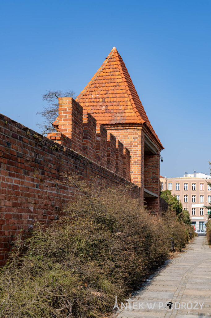 Głogów (dolnośląskie)