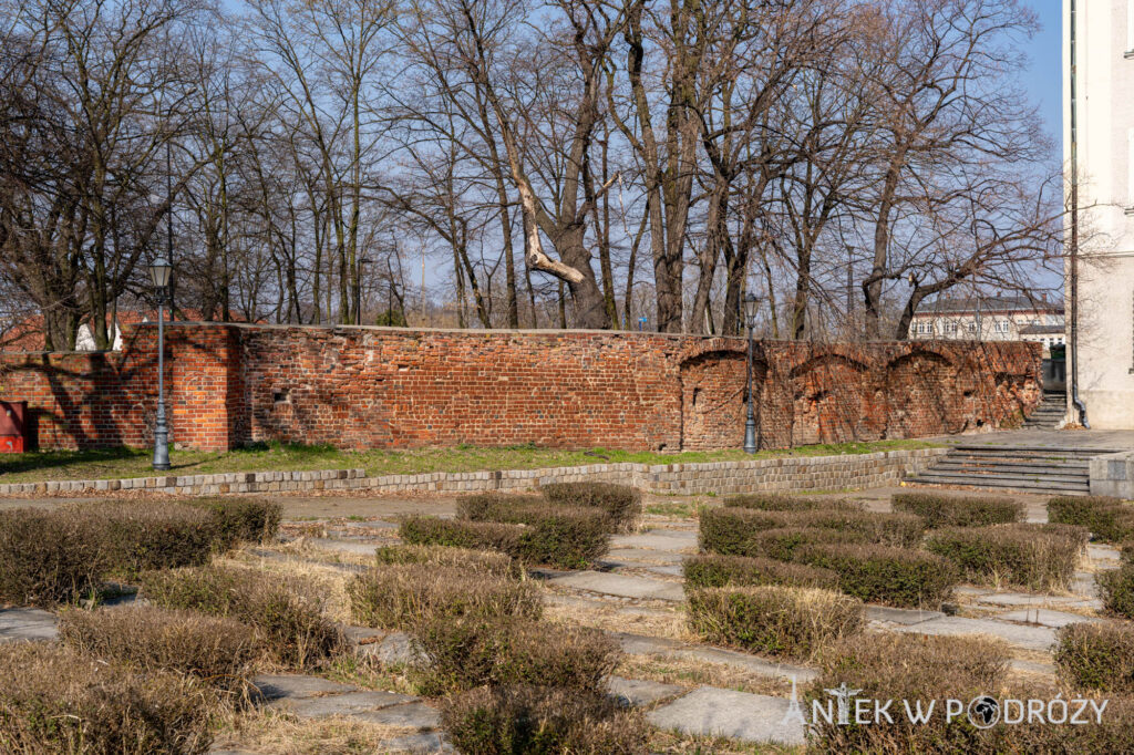Głogów (dolnośląskie)