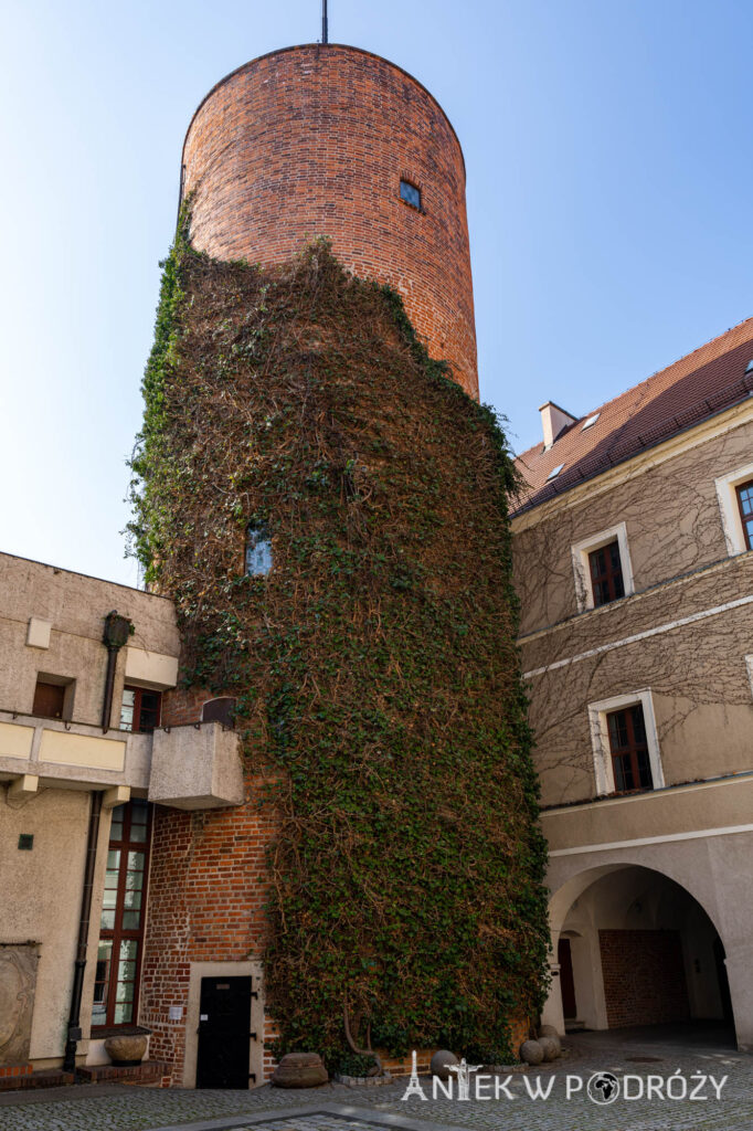 Głogów (dolnośląskie)