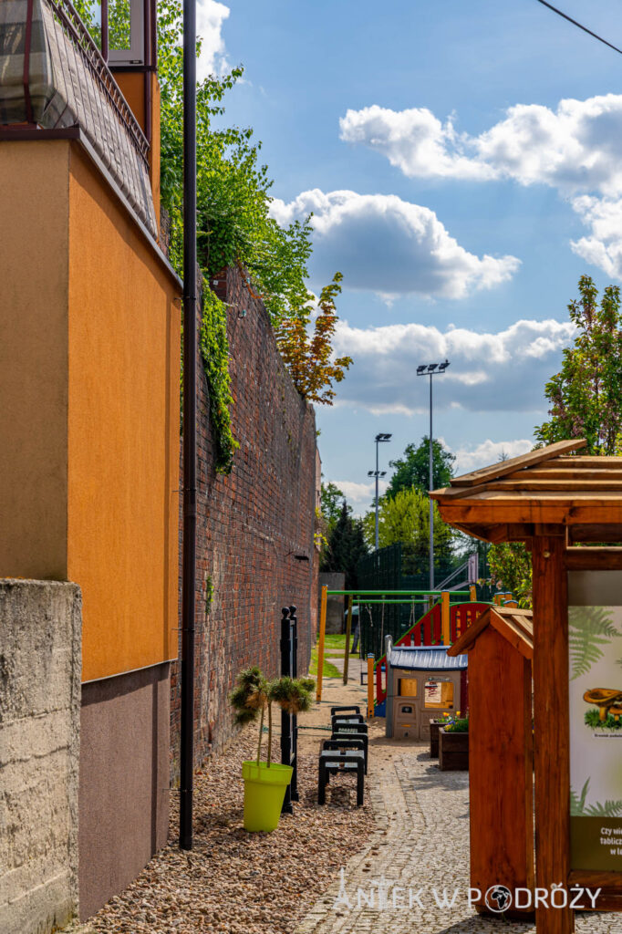 Syców