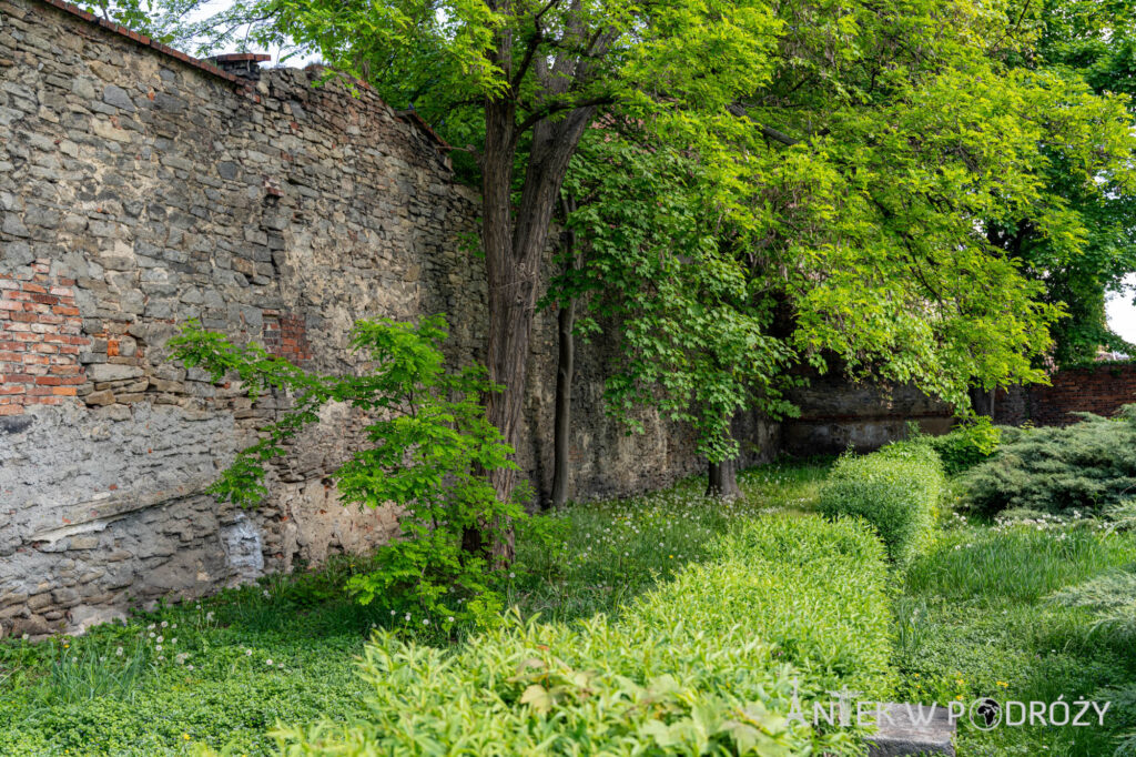 Strzelin