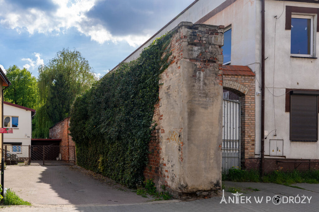 Syców