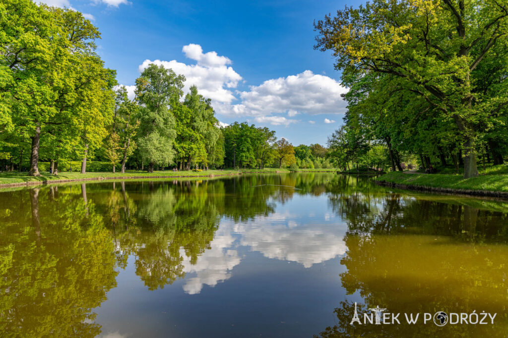 Syców