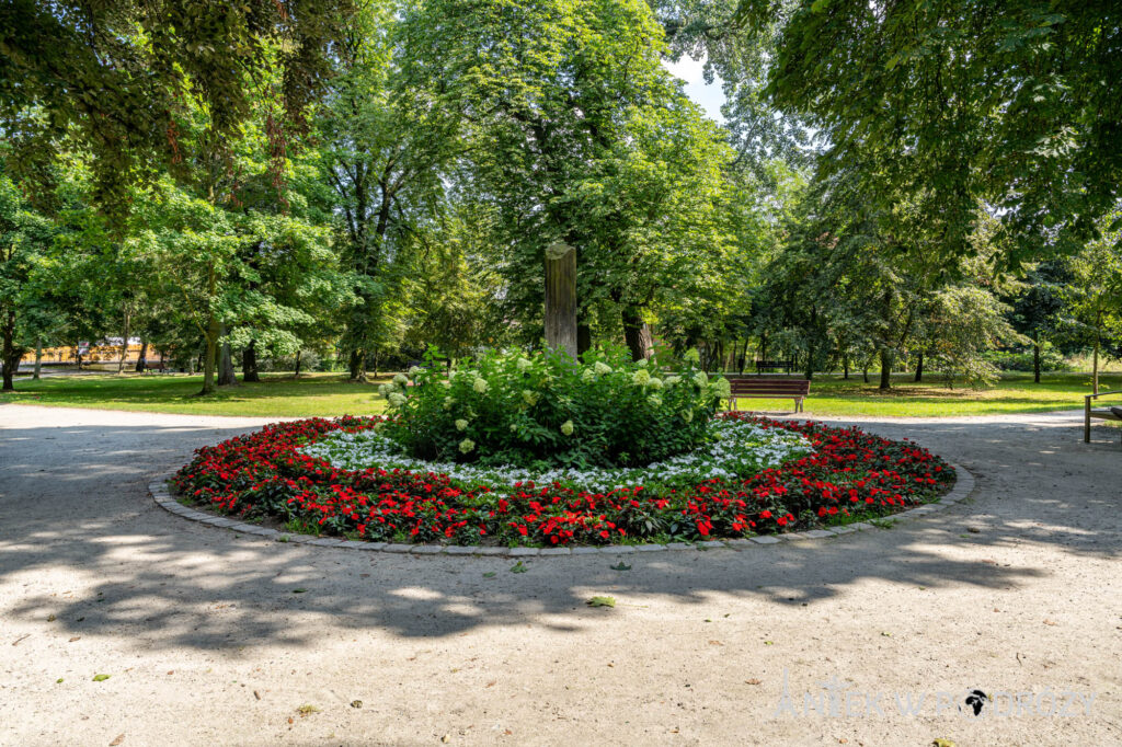 Chojnów (dolnośląskie)