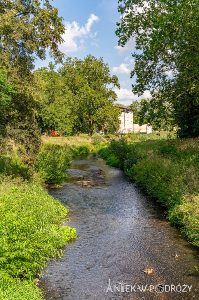 Chojnów (dolnośląskie)