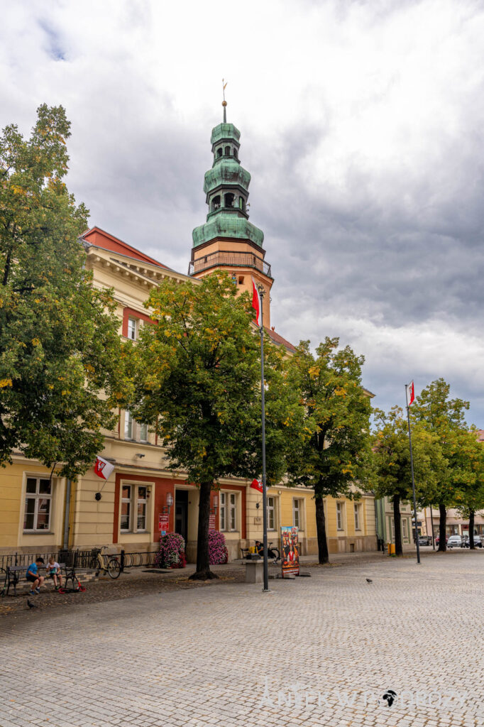 Oława (dolnośląskie)