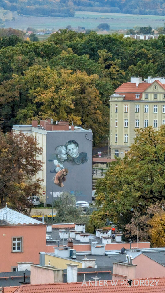 Świdnica (dolnośląskie)