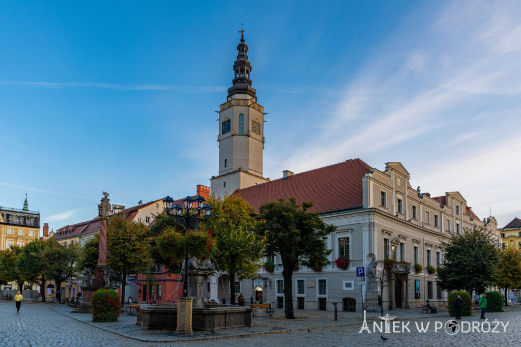 Świdnica (dolnośląskie)