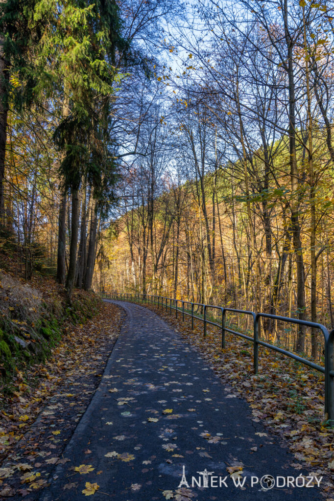 Jelenia Góra (dolnośląskie)