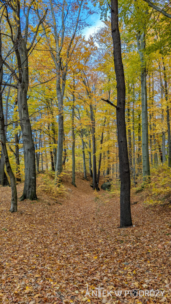 Jelenia Góra (dolnośląskie)