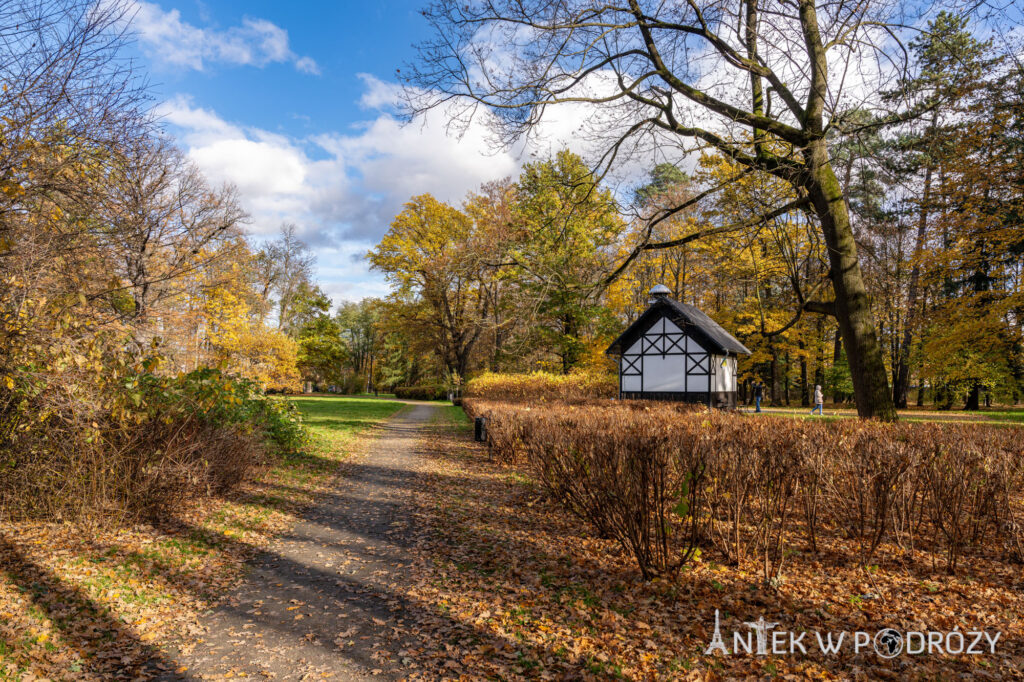 Jelenia Góra (dolnośląskie)