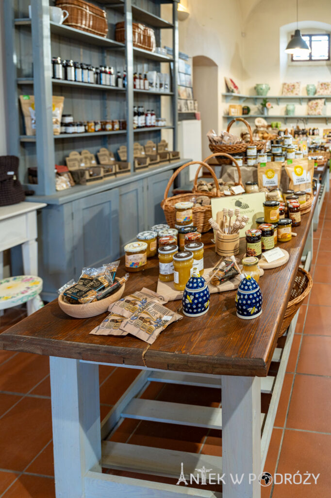 Hotel Pałac Łomnica