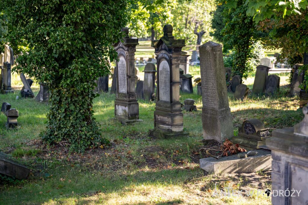 Legnica (dolnośląskie)