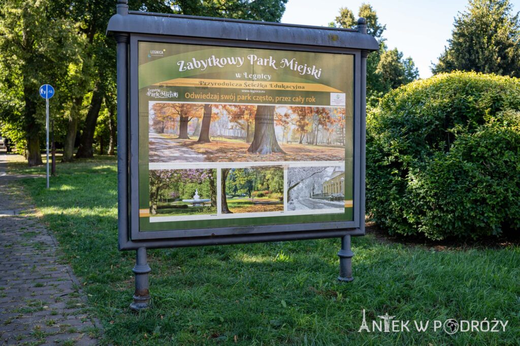 Legnica (dolnośląskie)