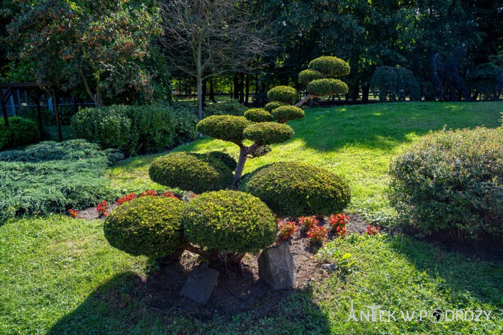 Legnica (dolnośląskie)