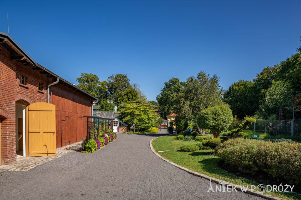 Legnica (dolnośląskie)