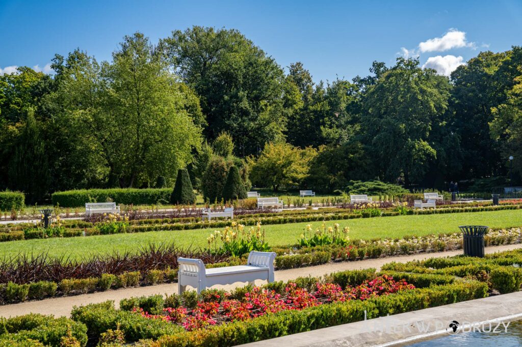 Legnica (dolnośląskie)