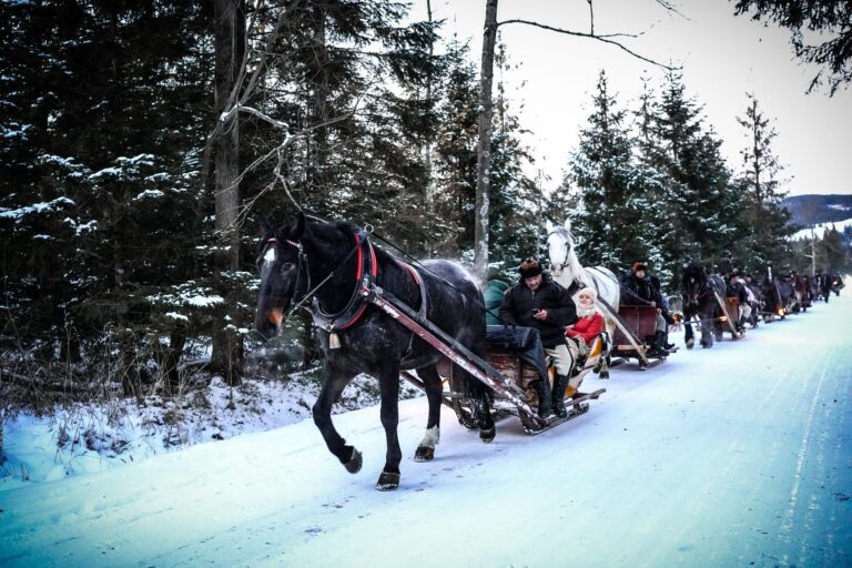 Kulig w Dolinie Chochołowskiej