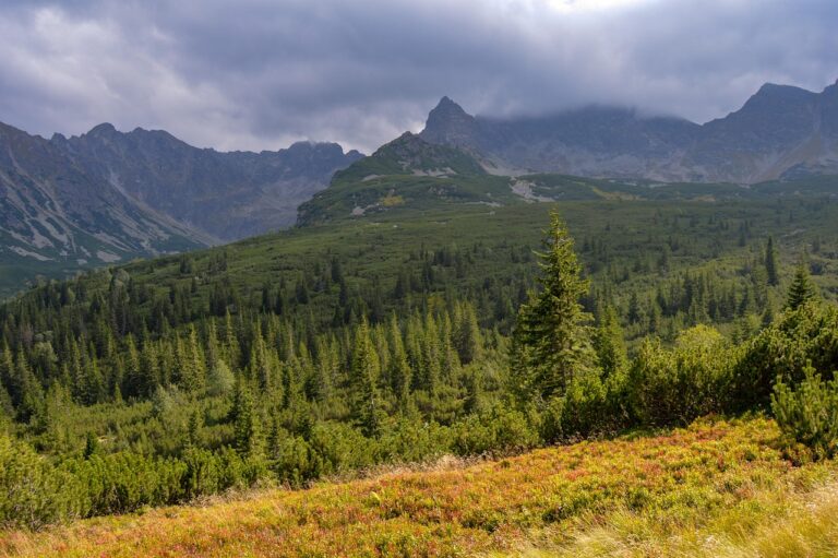 Gdzie nocować na Podhalu